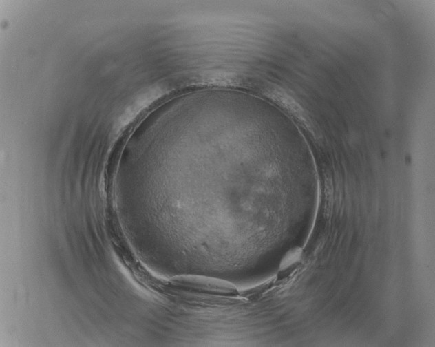 X0000061740674200512091611