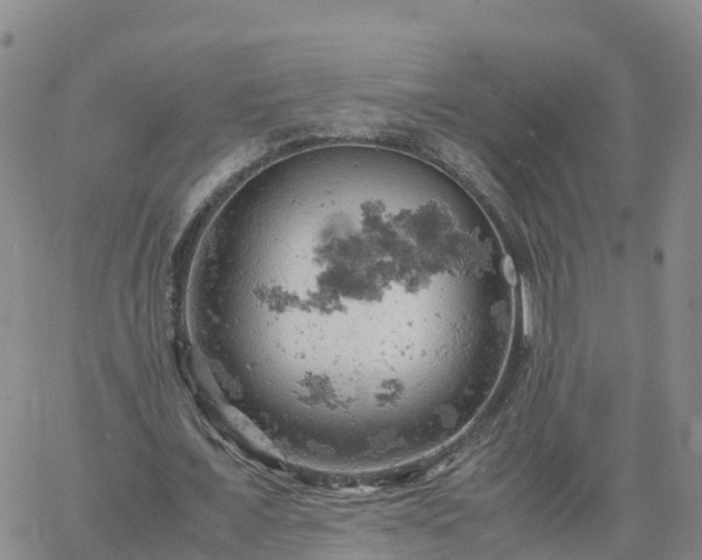 X0000061740675200512091611