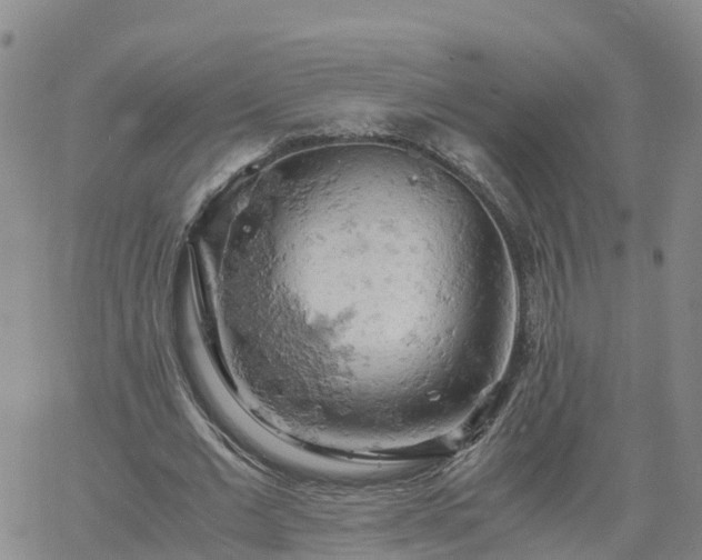 X0000061740677200512091611