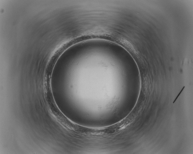 X0000061740680200512091611