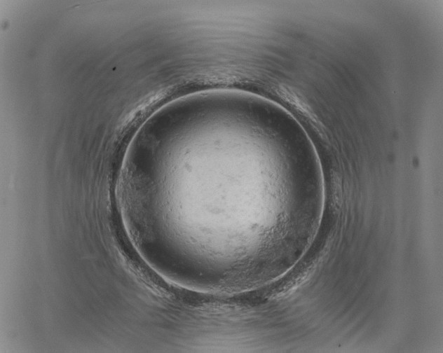 X0000061740681200512091611