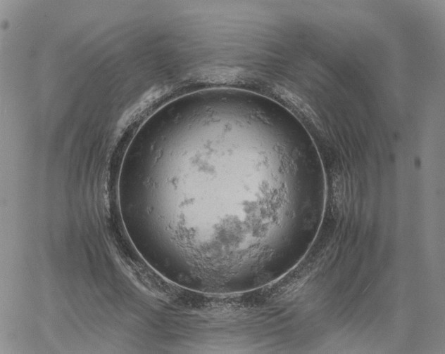 X0000061740682200512091611