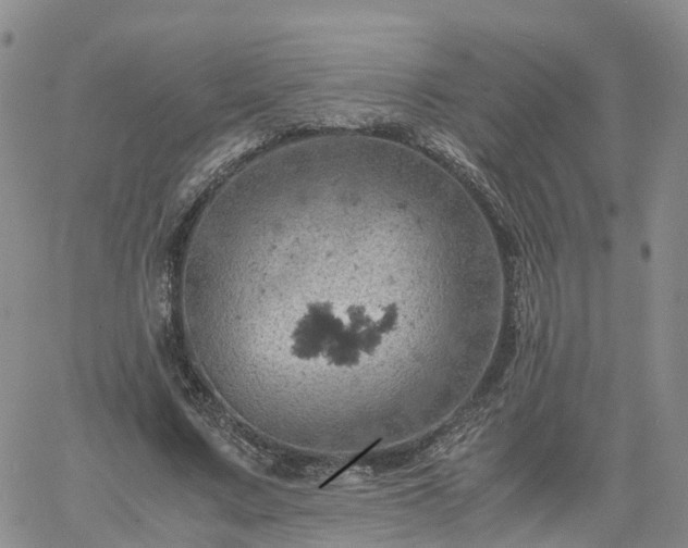 X0000061740683200512091611