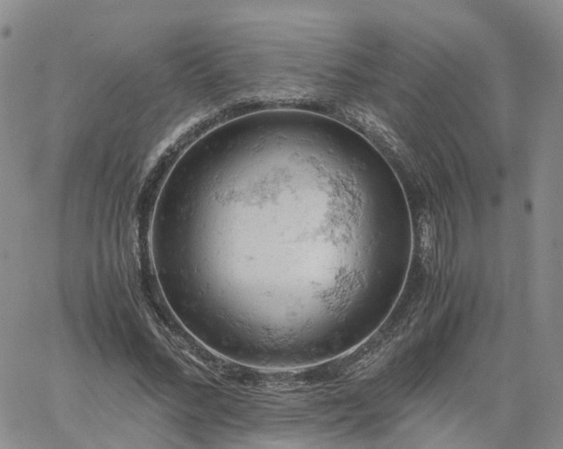 X0000061740684200512091611