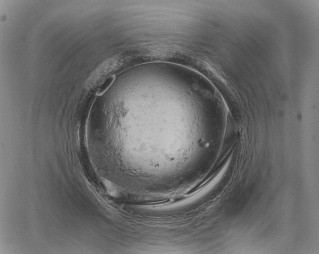 X0000061740685200512091611