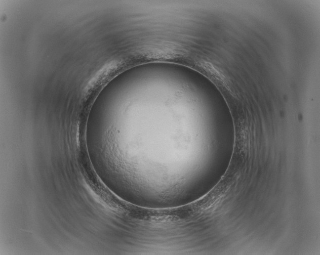 X0000061740686200512091611