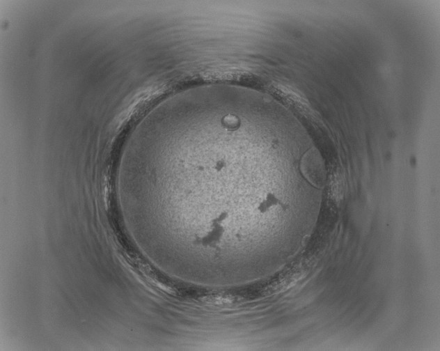 X0000061740687200512091611