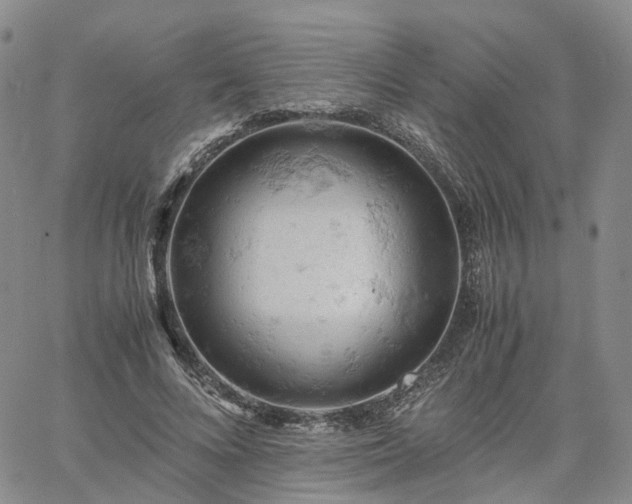 X0000061740688200512091611