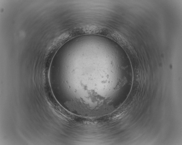 X0000061740690200512091611