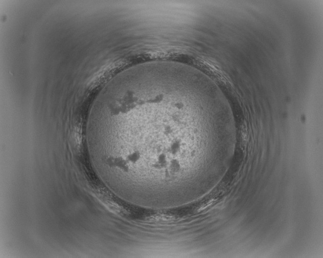 X0000061740691200512091611