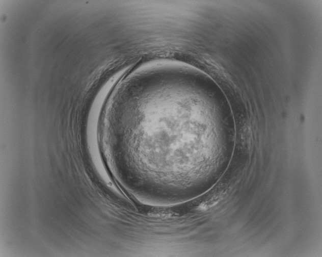 X0000061740693200512091611