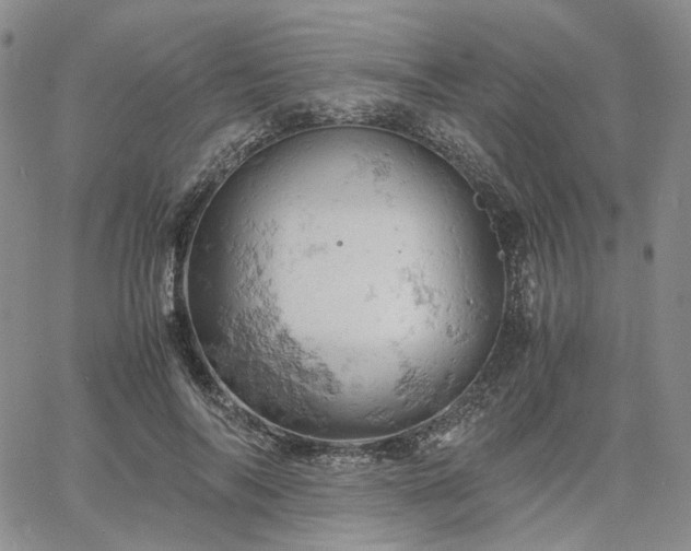 X0000061740694200512091611