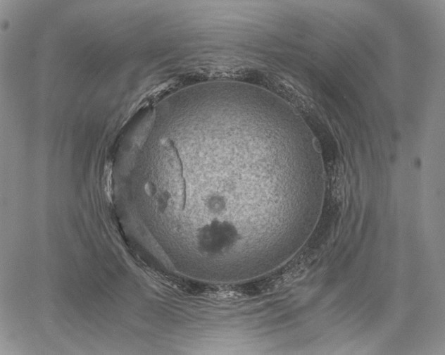 X0000061740695200512091611