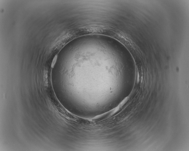 X0000061740696200512091611