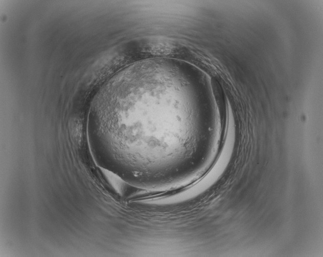 X0000061740697200512091611