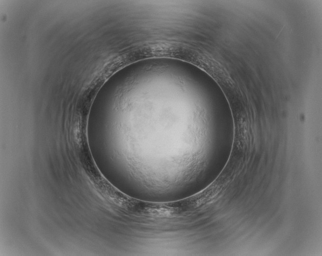 X0000061740698200512091611