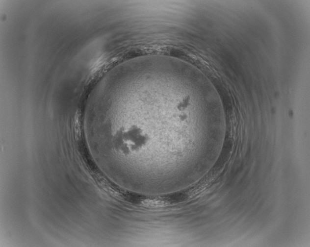 X0000061740699200512091611