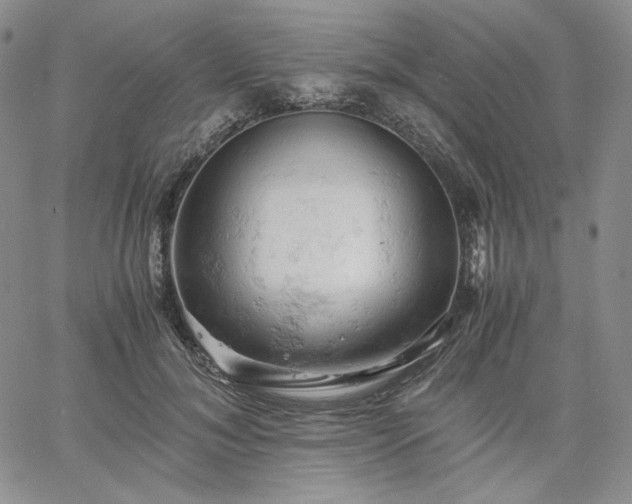 X0000061740700200512091611