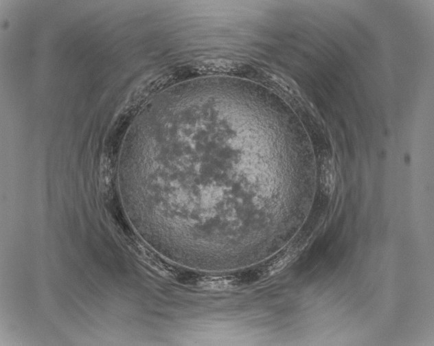 X0000061740701200512091610