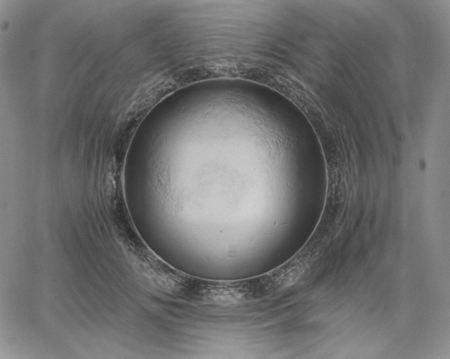 X0000061740702200512091610