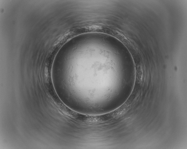 X0000061740704200512091610