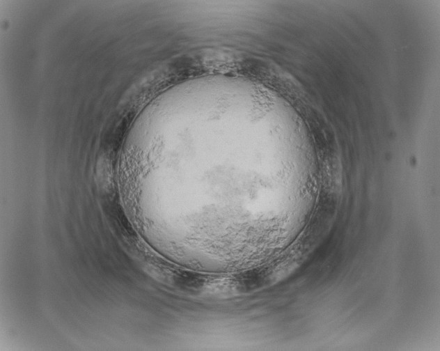 X0000061740705200512091610