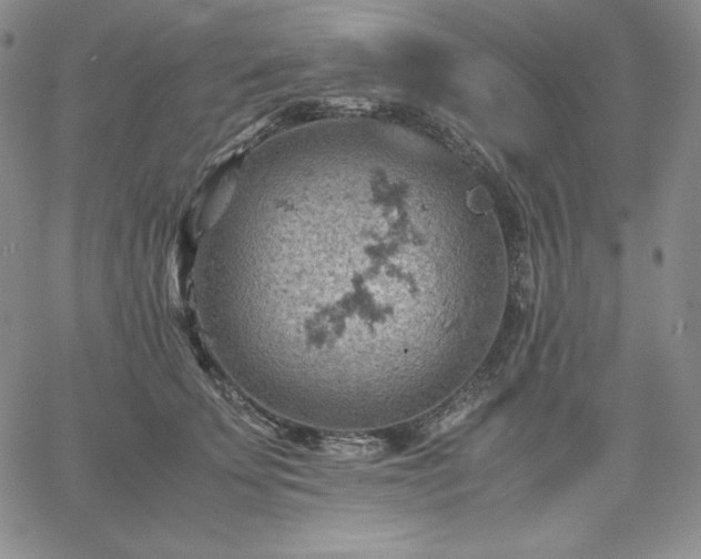 X0000061740707200512091610