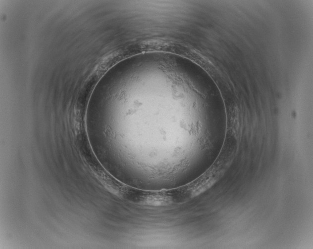 X0000061740708200512091610