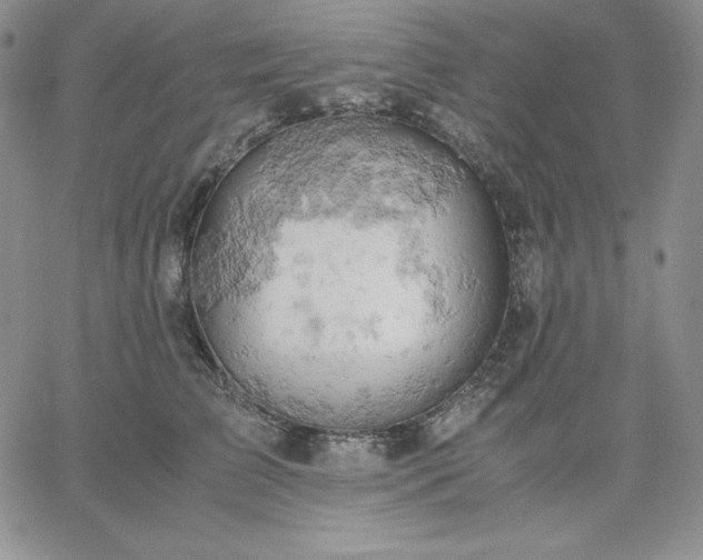 X0000061740709200512091610