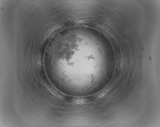 X0000061740710200512091610