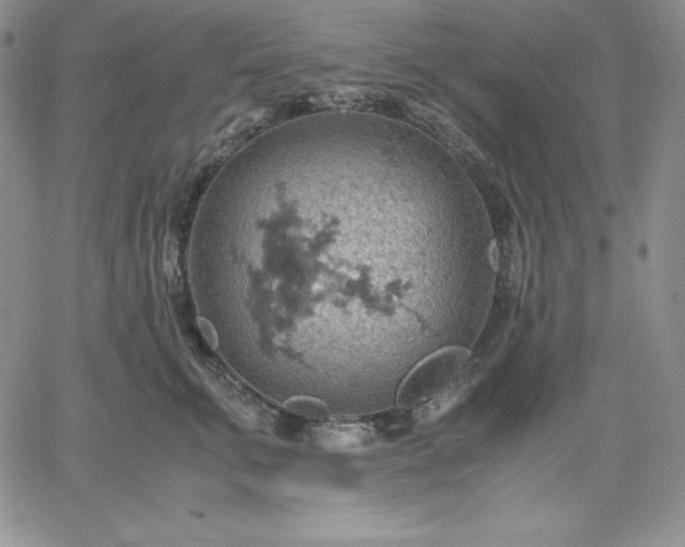 X0000061740711200512091610