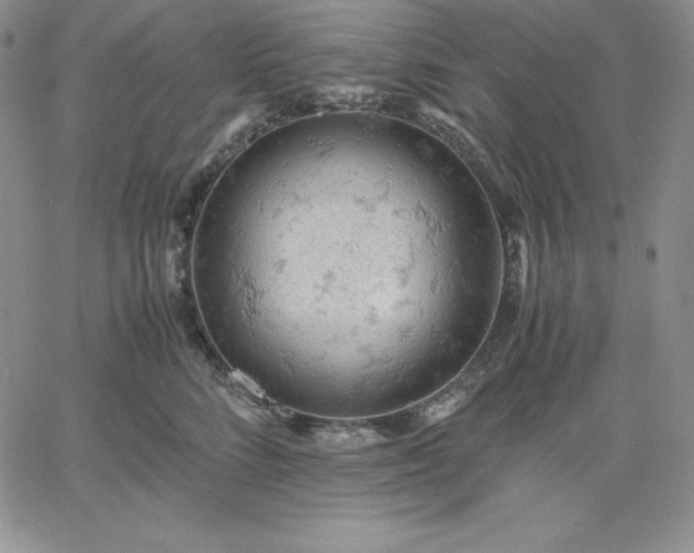 X0000061740712200512091610