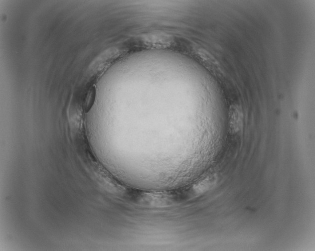 X0000061740713200512091610