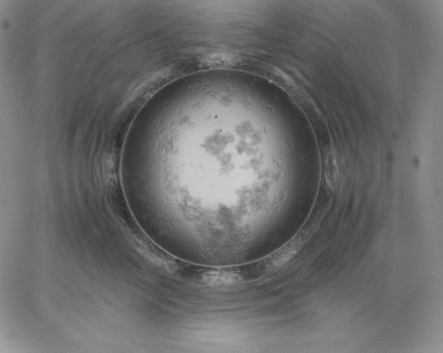 X0000061740714200512091610