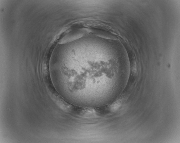 X0000061740715200512091610