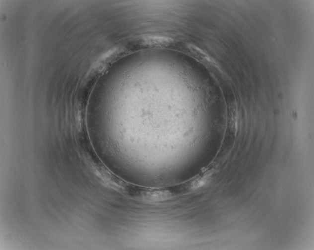 X0000061740716200512091610