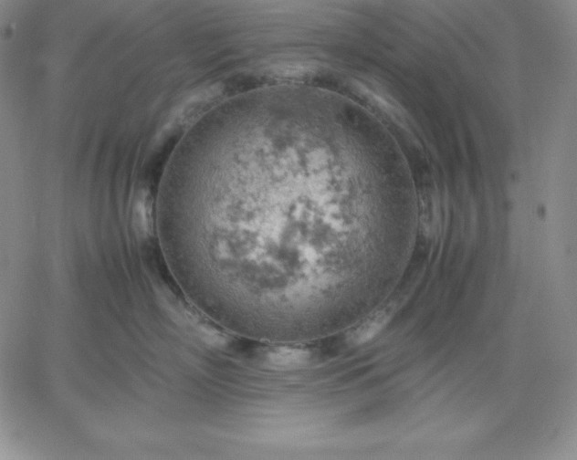 X0000061740718200512091610