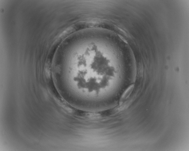 X0000061740719200512091610