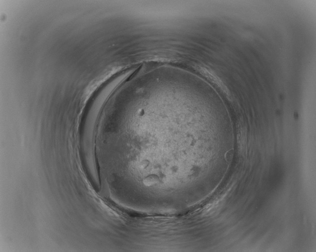 X0000061740721200512091609