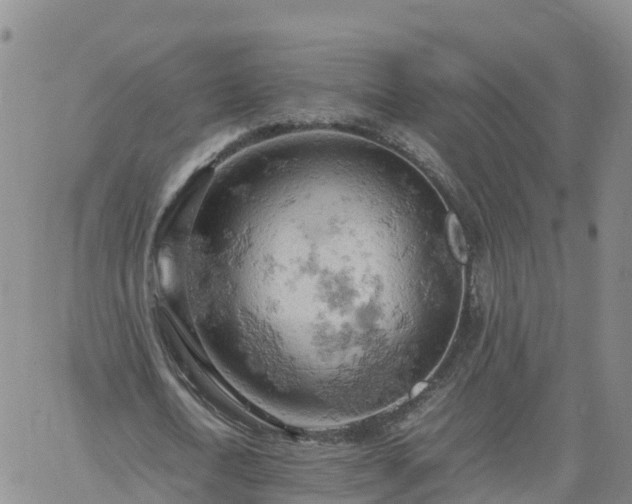 X0000061740722200512091609