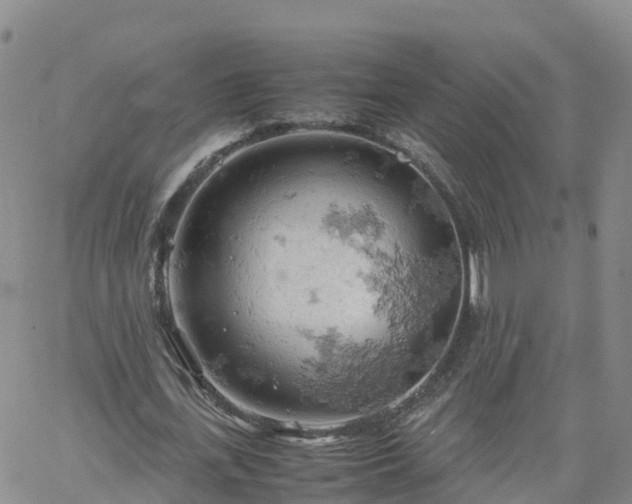 X0000061740723200512091609