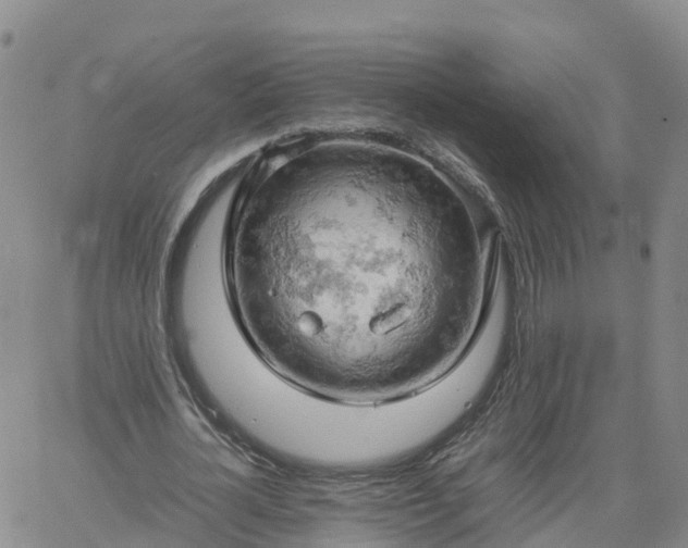 X0000061740724200512091609