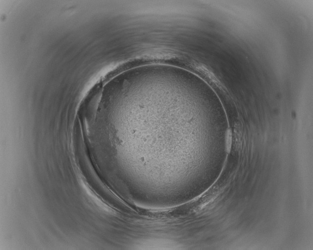 X0000061740726200512091609