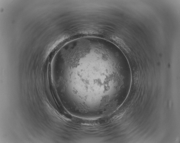 X0000061740727200512091610