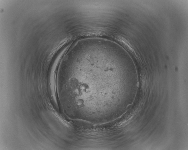 X0000061740729200512091610