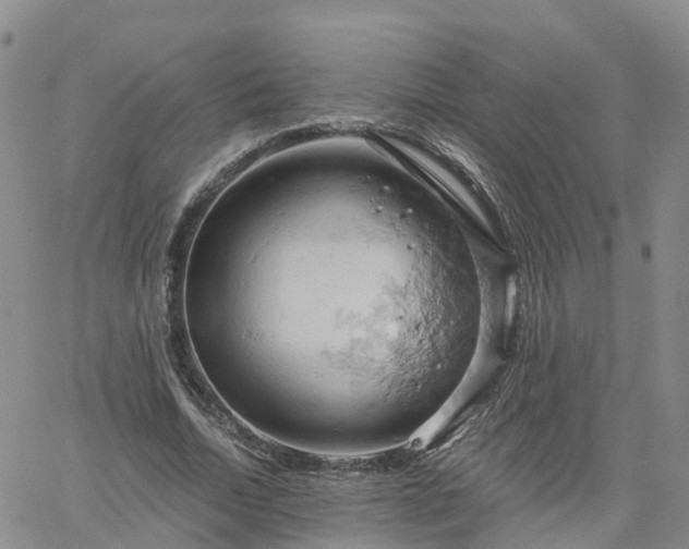 X0000061740730200512091610