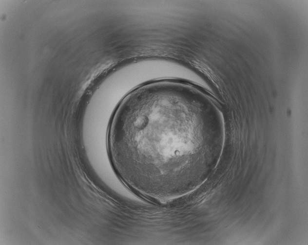 X0000061740731200512091610