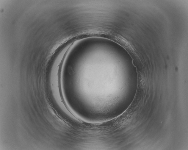 X0000061740732200512091610