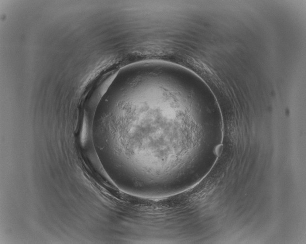 X0000061740735200512091610