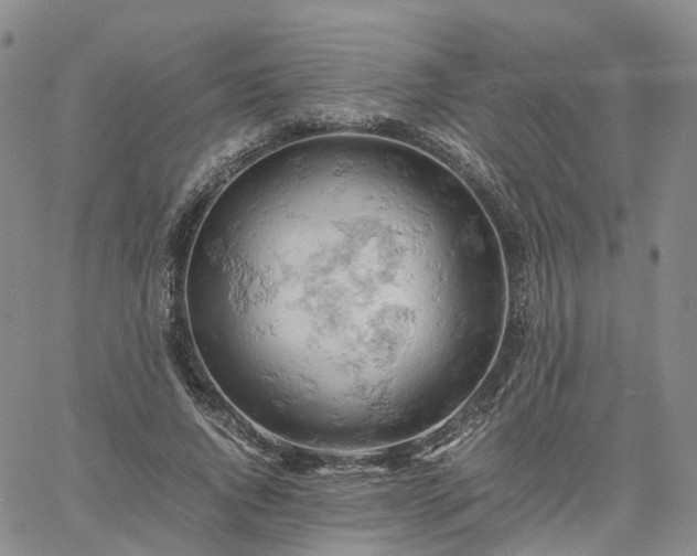 X0000061740736200512091610